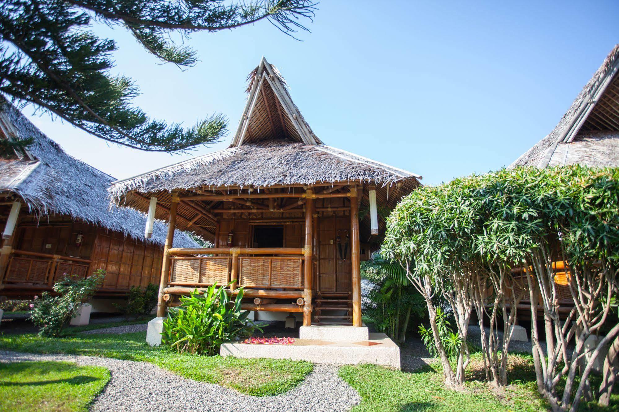 Pura Vida Beach & Dive Resort Dauin Exterior foto